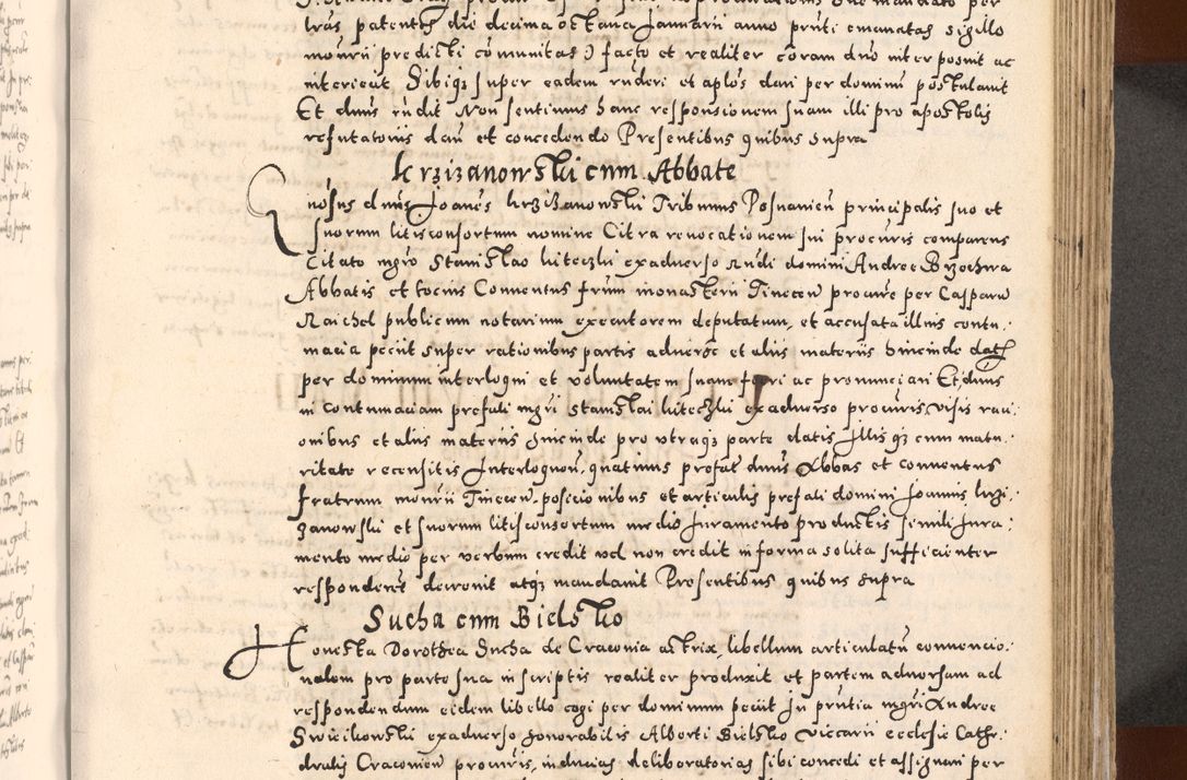 Zdjęcie nr 443 dla obiektu archiwalnego: [Liber actorum, vicariatus et officialatus Cracoviensis ad annum Domini 1574 et seqventes]