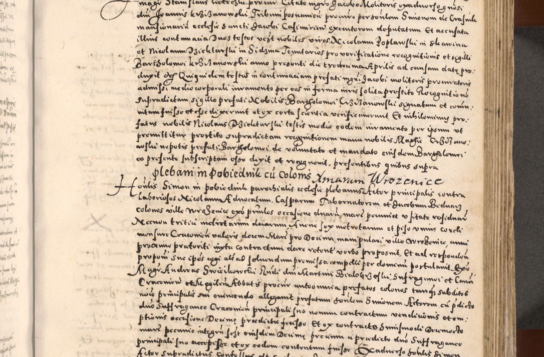 Zdjęcie nr 429 dla obiektu archiwalnego: [Liber actorum, vicariatus et officialatus Cracoviensis ad annum Domini 1574 et seqventes]