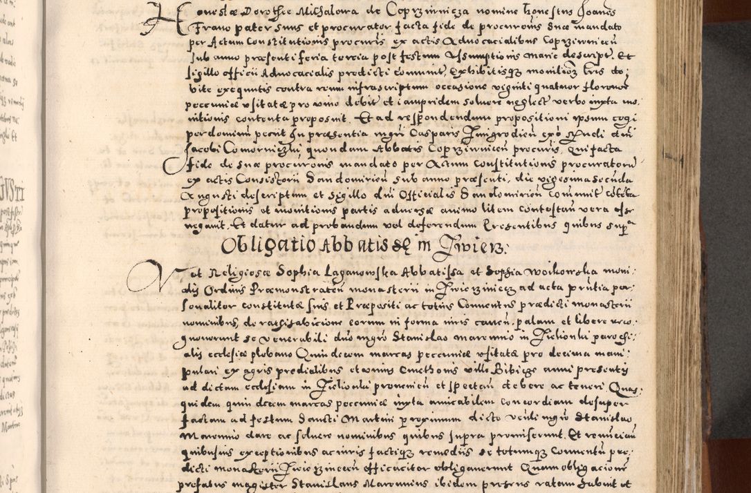 Zdjęcie nr 341 dla obiektu archiwalnego: [Liber actorum, vicariatus et officialatus Cracoviensis ad annum Domini 1574 et seqventes]