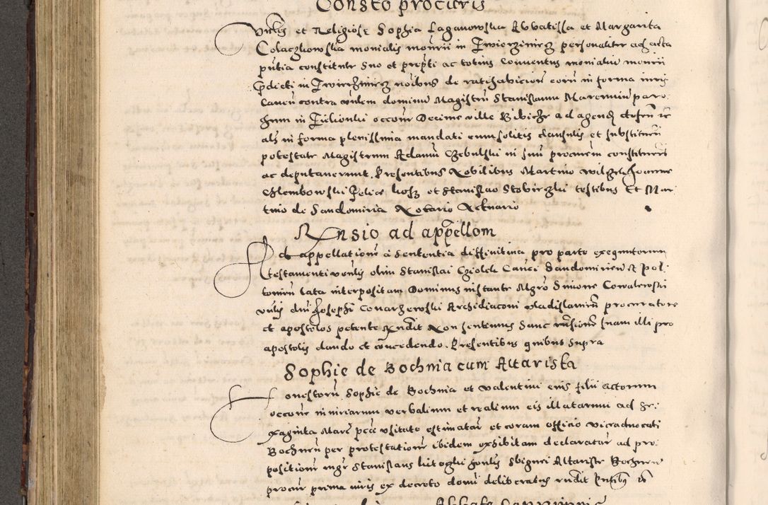 Zdjęcie nr 326 dla obiektu archiwalnego: [Liber actorum, vicariatus et officialatus Cracoviensis ad annum Domini 1574 et seqventes]