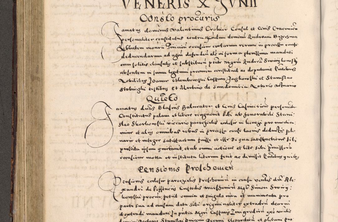 Zdjęcie nr 308 dla obiektu archiwalnego: [Liber actorum, vicariatus et officialatus Cracoviensis ad annum Domini 1574 et seqventes]