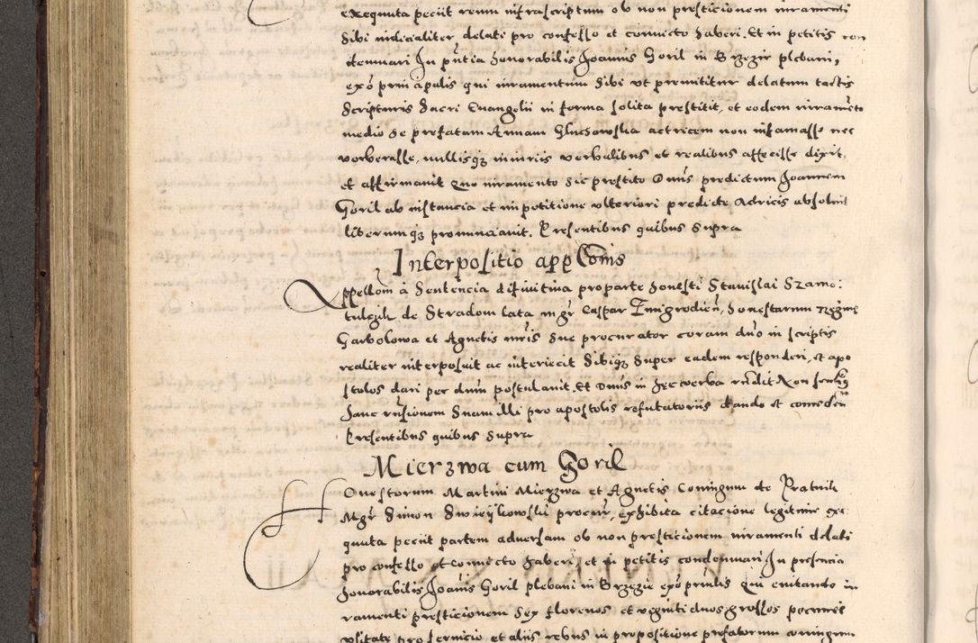 Zdjęcie nr 298 dla obiektu archiwalnego: [Liber actorum, vicariatus et officialatus Cracoviensis ad annum Domini 1574 et seqventes]