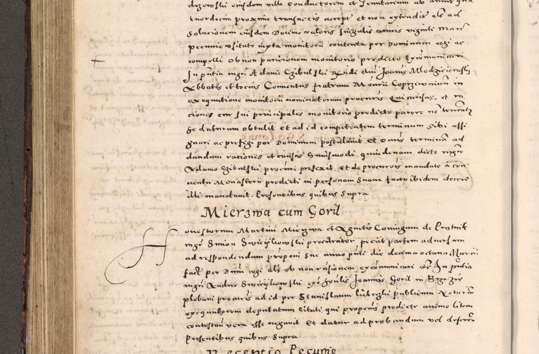 Zdjęcie nr 272 dla obiektu archiwalnego: [Liber actorum, vicariatus et officialatus Cracoviensis ad annum Domini 1574 et seqventes]