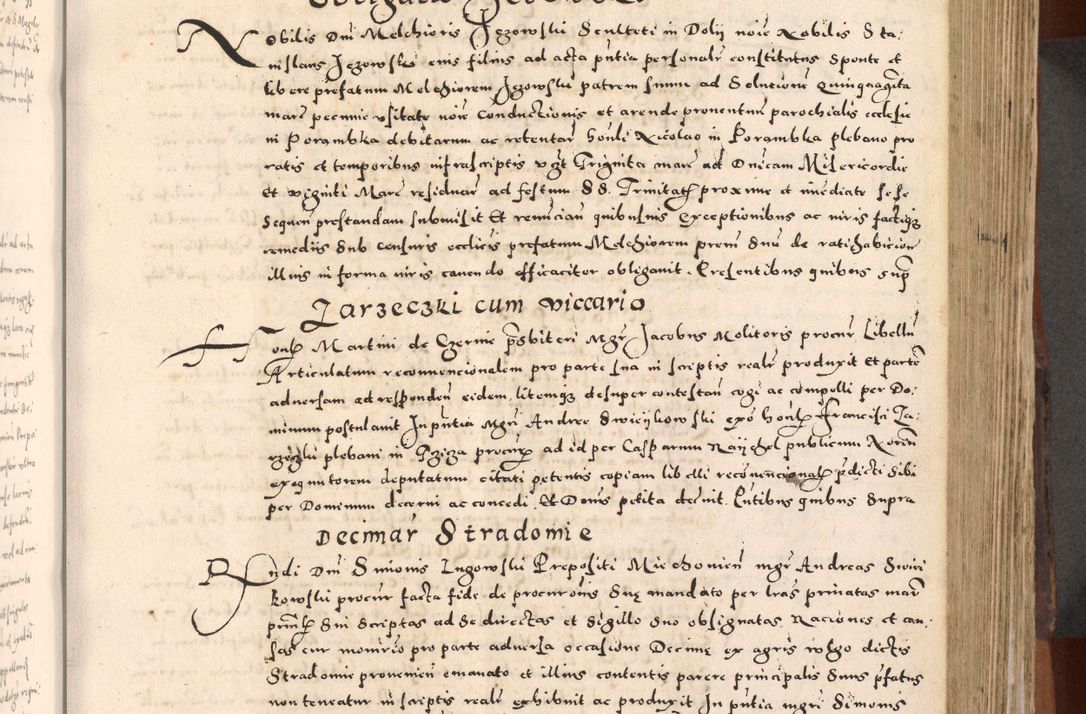Zdjęcie nr 265 dla obiektu archiwalnego: [Liber actorum, vicariatus et officialatus Cracoviensis ad annum Domini 1574 et seqventes]