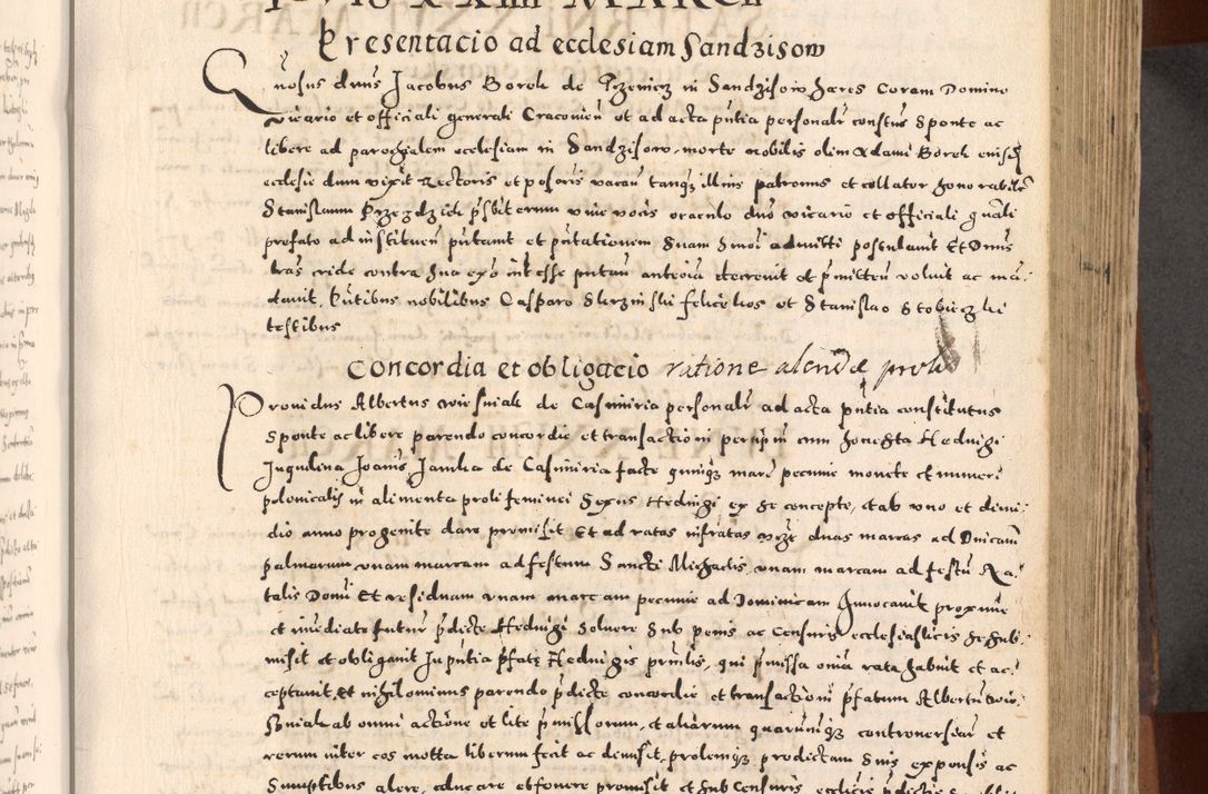 Zdjęcie nr 261 dla obiektu archiwalnego: [Liber actorum, vicariatus et officialatus Cracoviensis ad annum Domini 1574 et seqventes]