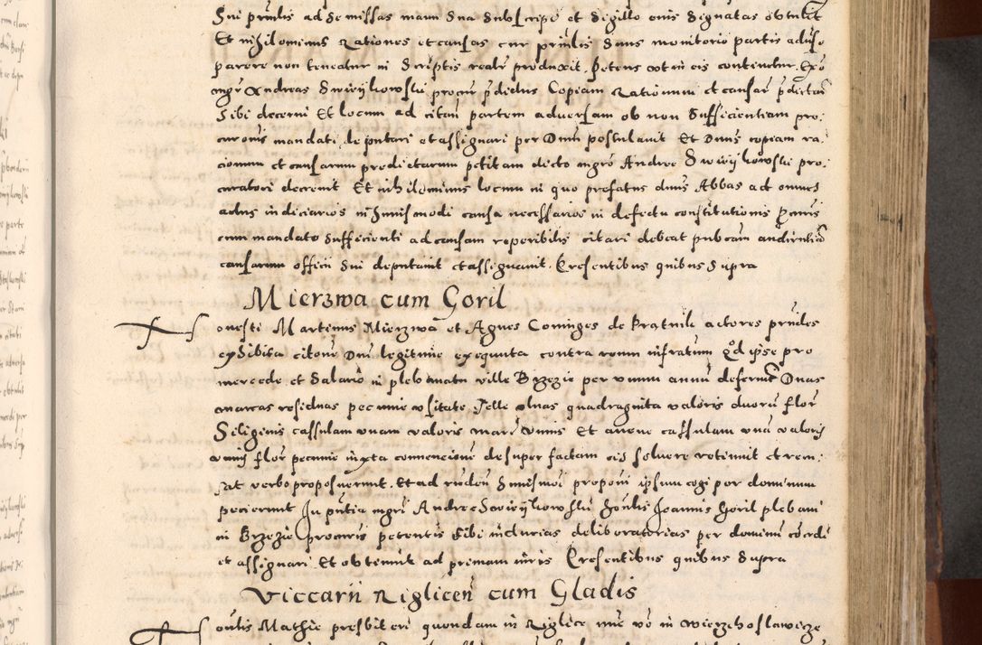 Zdjęcie nr 249 dla obiektu archiwalnego: [Liber actorum, vicariatus et officialatus Cracoviensis ad annum Domini 1574 et seqventes]