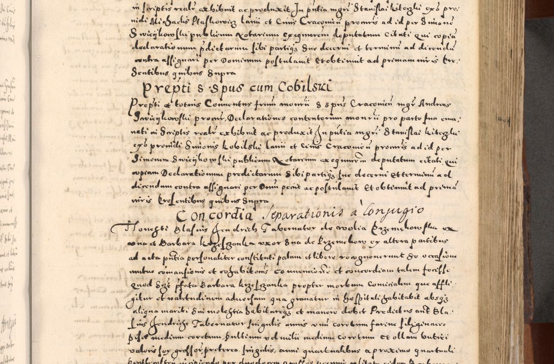 Zdjęcie nr 233 dla obiektu archiwalnego: [Liber actorum, vicariatus et officialatus Cracoviensis ad annum Domini 1574 et seqventes]