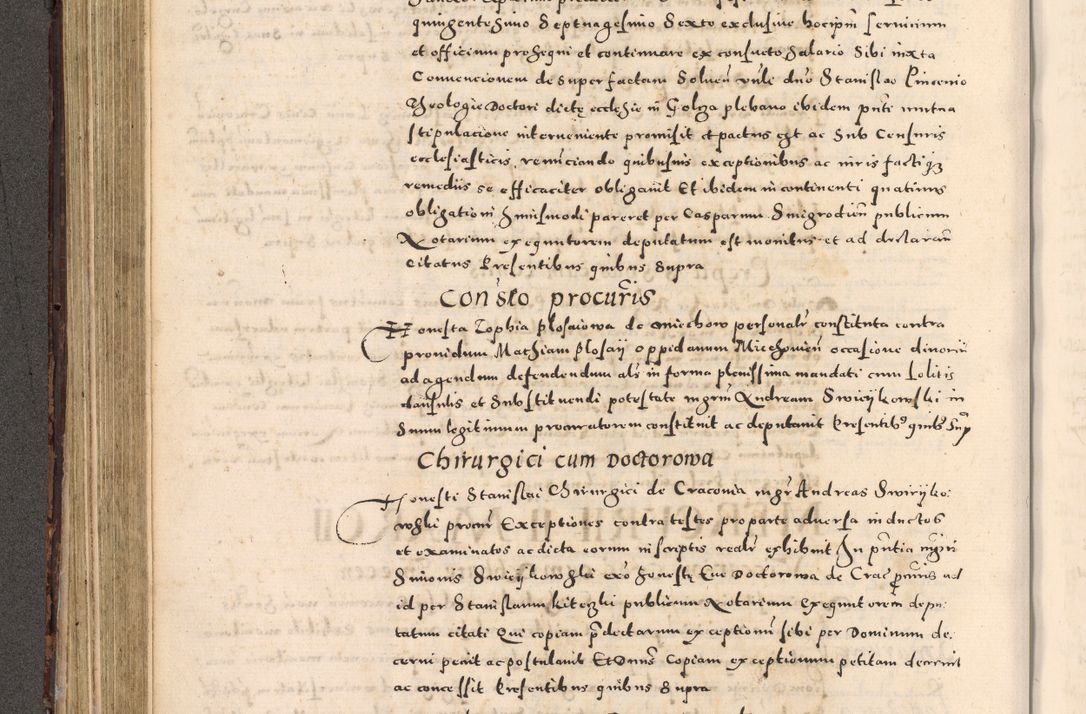 Zdjęcie nr 230 dla obiektu archiwalnego: [Liber actorum, vicariatus et officialatus Cracoviensis ad annum Domini 1574 et seqventes]