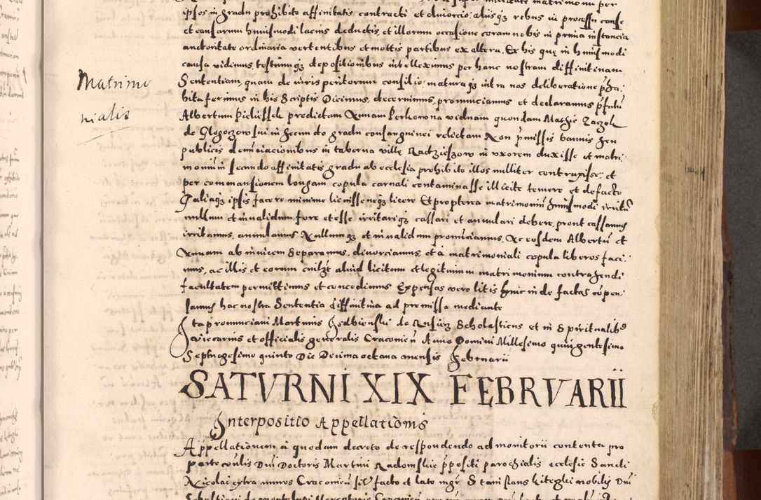 Zdjęcie nr 221 dla obiektu archiwalnego: [Liber actorum, vicariatus et officialatus Cracoviensis ad annum Domini 1574 et seqventes]