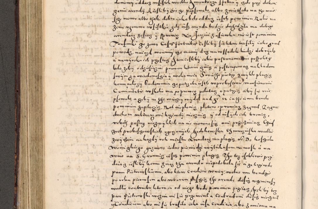 Zdjęcie nr 216 dla obiektu archiwalnego: [Liber actorum, vicariatus et officialatus Cracoviensis ad annum Domini 1574 et seqventes]