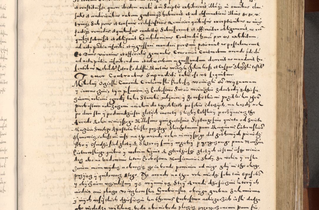 Zdjęcie nr 215 dla obiektu archiwalnego: [Liber actorum, vicariatus et officialatus Cracoviensis ad annum Domini 1574 et seqventes]