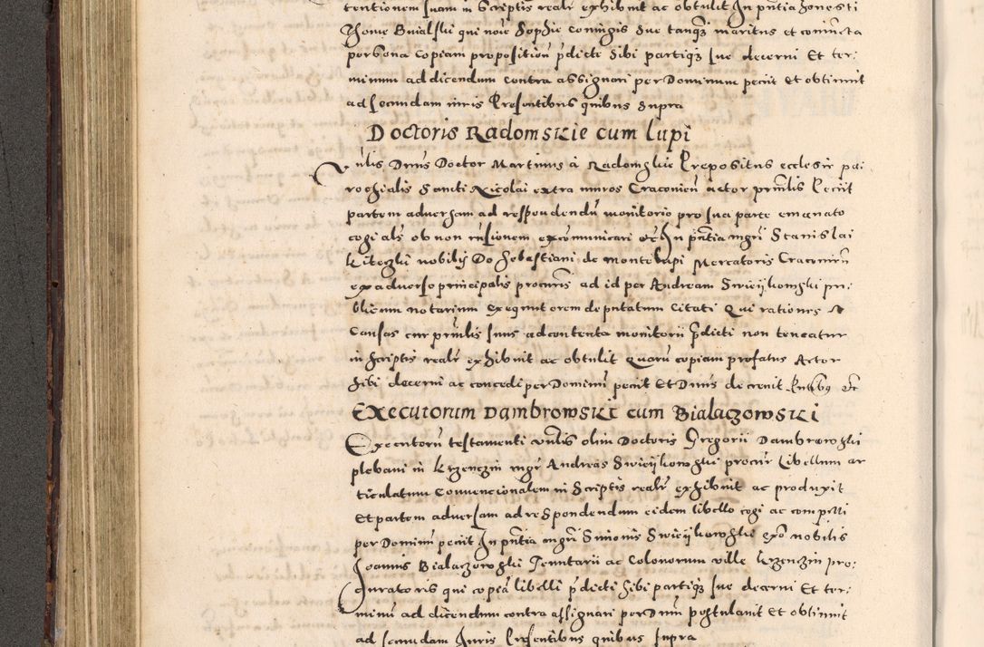 Zdjęcie nr 208 dla obiektu archiwalnego: [Liber actorum, vicariatus et officialatus Cracoviensis ad annum Domini 1574 et seqventes]