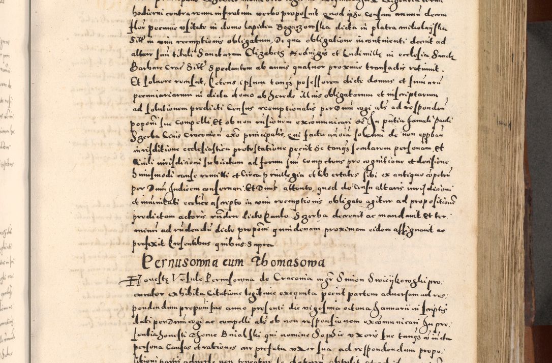 Zdjęcie nr 213 dla obiektu archiwalnego: [Liber actorum, vicariatus et officialatus Cracoviensis ad annum Domini 1574 et seqventes]