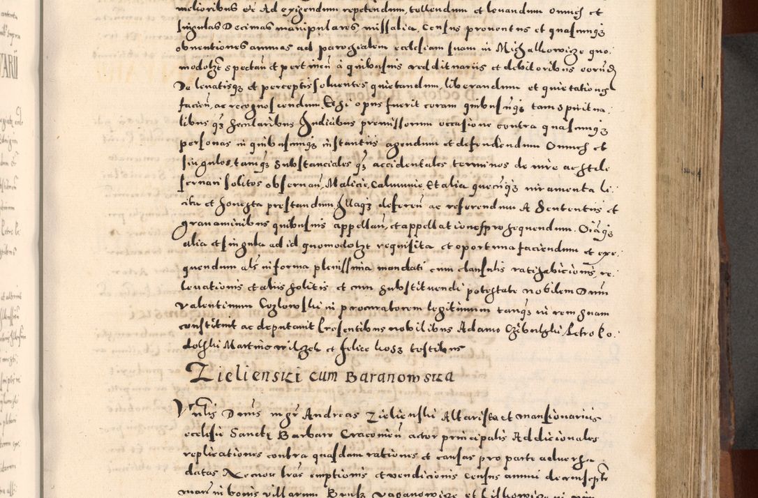 Zdjęcie nr 207 dla obiektu archiwalnego: [Liber actorum, vicariatus et officialatus Cracoviensis ad annum Domini 1574 et seqventes]