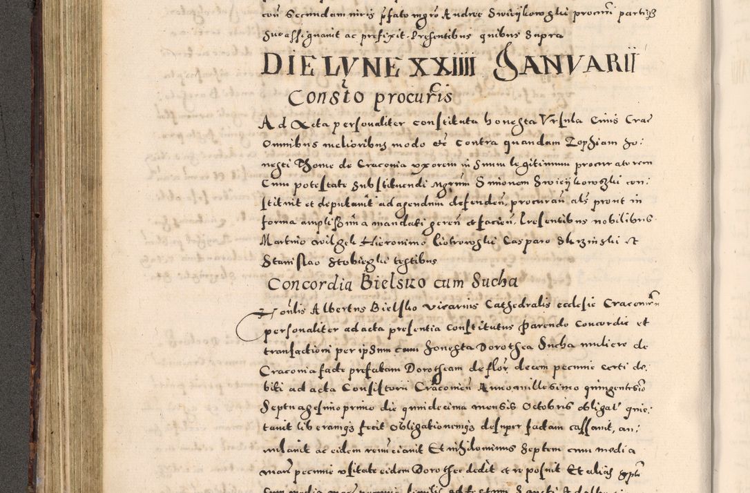 Zdjęcie nr 204 dla obiektu archiwalnego: [Liber actorum, vicariatus et officialatus Cracoviensis ad annum Domini 1574 et seqventes]