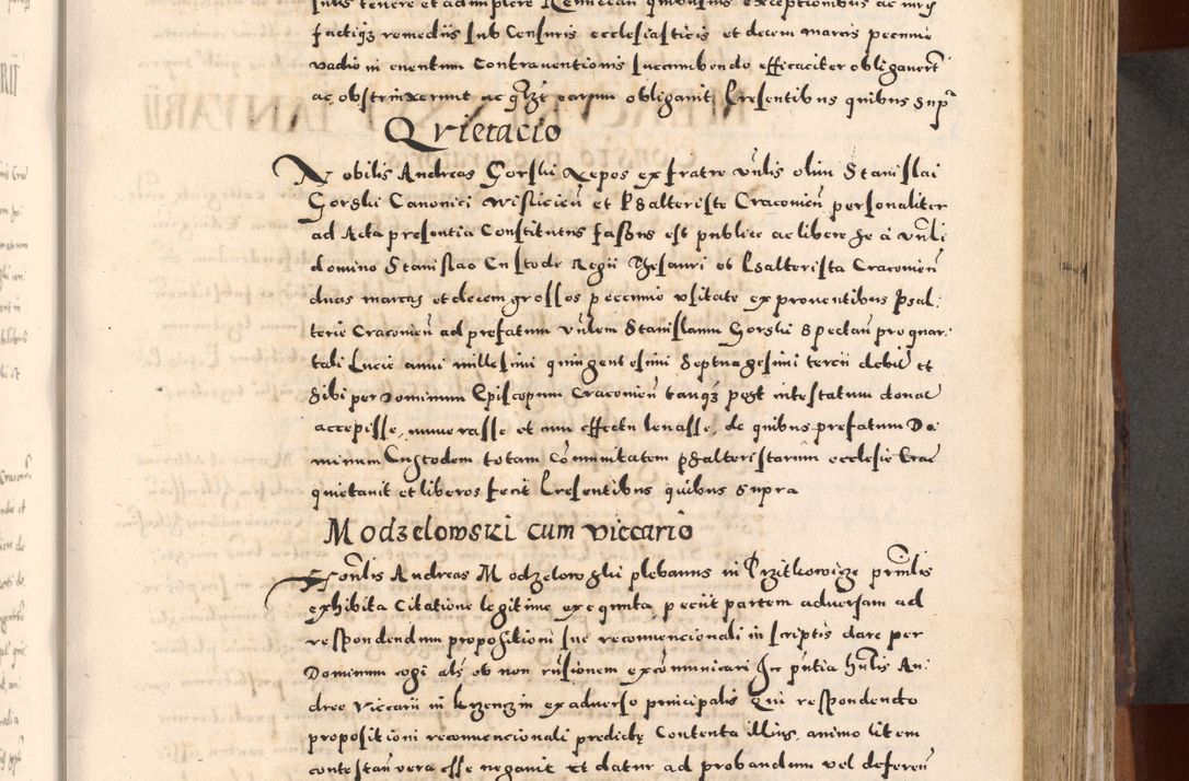 Zdjęcie nr 205 dla obiektu archiwalnego: [Liber actorum, vicariatus et officialatus Cracoviensis ad annum Domini 1574 et seqventes]