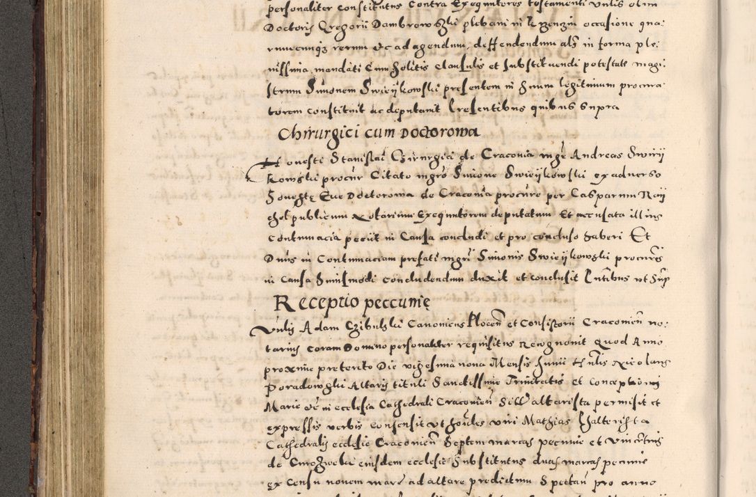 Zdjęcie nr 202 dla obiektu archiwalnego: [Liber actorum, vicariatus et officialatus Cracoviensis ad annum Domini 1574 et seqventes]
