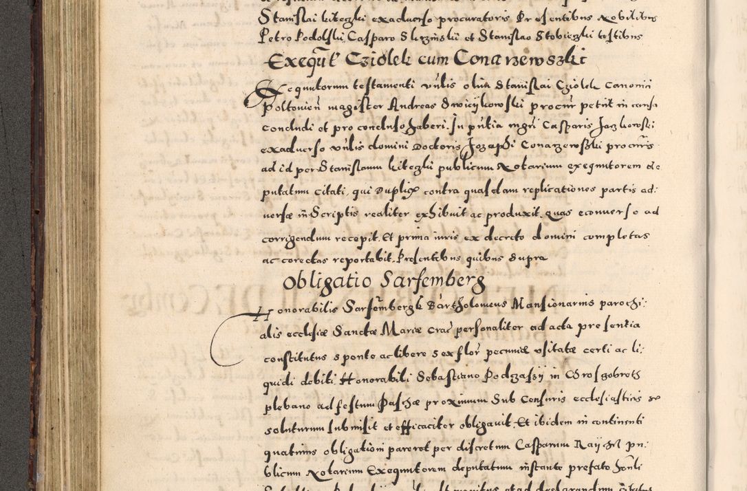Zdjęcie nr 192 dla obiektu archiwalnego: [Liber actorum, vicariatus et officialatus Cracoviensis ad annum Domini 1574 et seqventes]