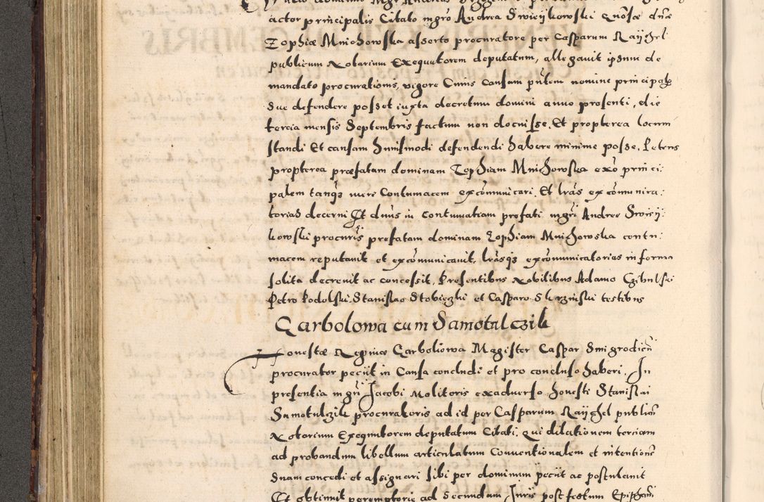Zdjęcie nr 190 dla obiektu archiwalnego: [Liber actorum, vicariatus et officialatus Cracoviensis ad annum Domini 1574 et seqventes]