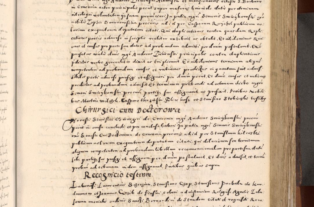 Zdjęcie nr 181 dla obiektu archiwalnego: [Liber actorum, vicariatus et officialatus Cracoviensis ad annum Domini 1574 et seqventes]