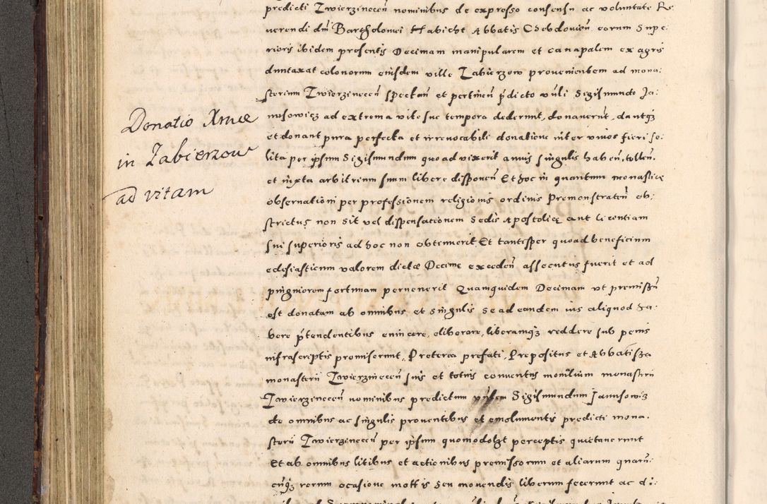 Zdjęcie nr 176 dla obiektu archiwalnego: [Liber actorum, vicariatus et officialatus Cracoviensis ad annum Domini 1574 et seqventes]