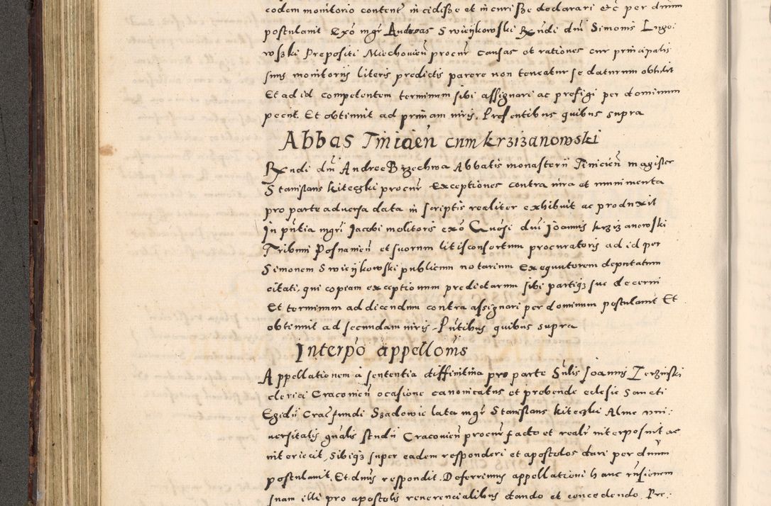 Zdjęcie nr 170 dla obiektu archiwalnego: [Liber actorum, vicariatus et officialatus Cracoviensis ad annum Domini 1574 et seqventes]
