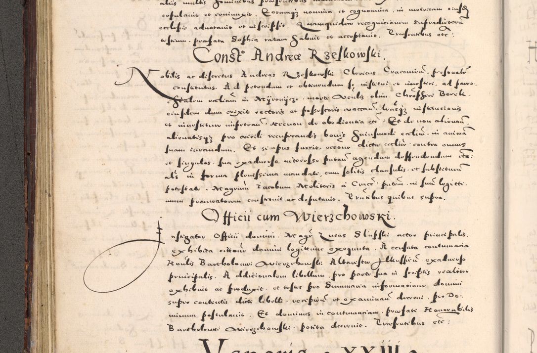 Zdjęcie nr 96 dla obiektu archiwalnego: [Liber actorum, vicariatus et officialatus Cracoviensis ad annum Domini 1574 et seqventes]