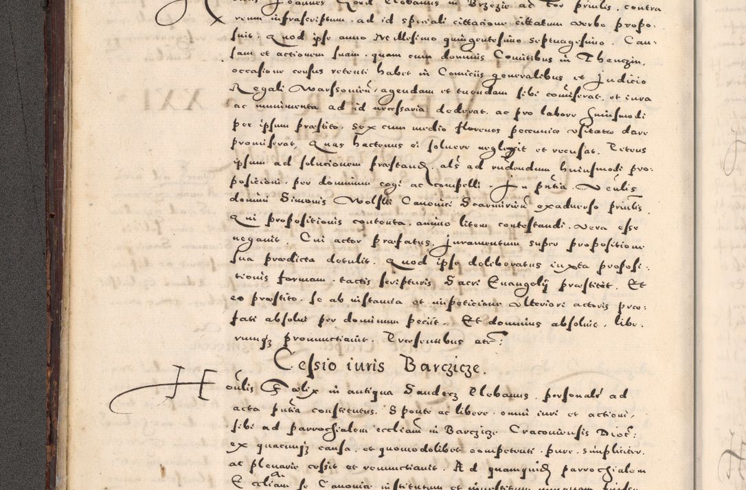 Zdjęcie nr 24 dla obiektu archiwalnego: [Liber actorum, vicariatus et officialatus Cracoviensis ad annum Domini 1574 et seqventes]
