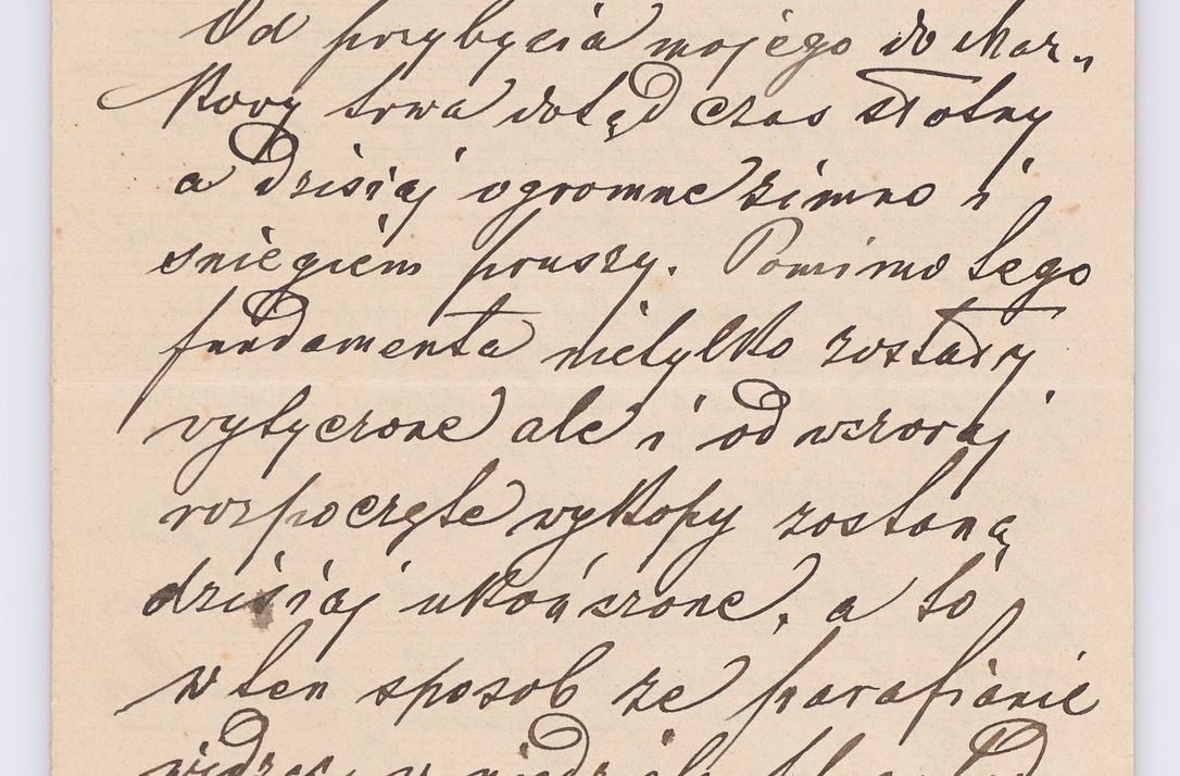 Zdjęcie nr 169 dla obiektu archiwalnego: Listy kierowane do Józefa Bilczewskiego w roku 1906