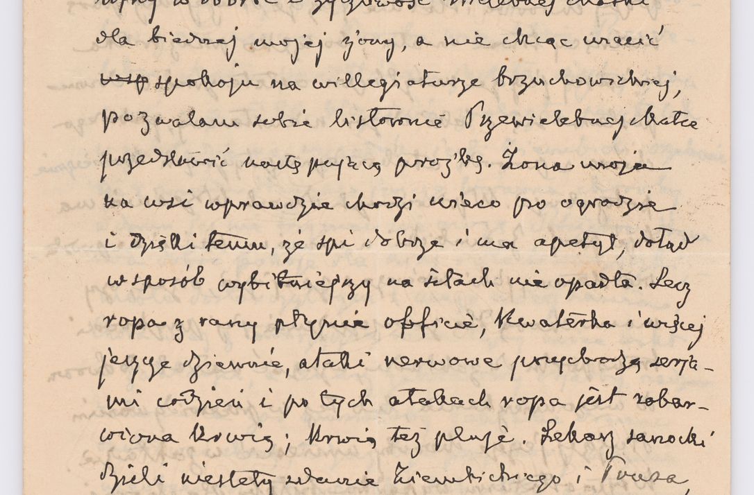 Zdjęcie nr 699 dla obiektu archiwalnego: Listy kierowane do Józefa Bilczewskiego w roku 1906