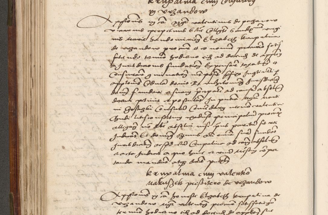 Zdjęcie nr 201 dla obiektu archiwalnego: Volumen (Pri)mum Actorum R(evere)nd(i)s(s)imi in Christo Patris D(omi)ni Petri de Gamratis Episcopi Cracoviensis a die prima mensis Novembris Anni 1539vi ad finem eiusdem anni et successive per annos 1539num et 1540mum
