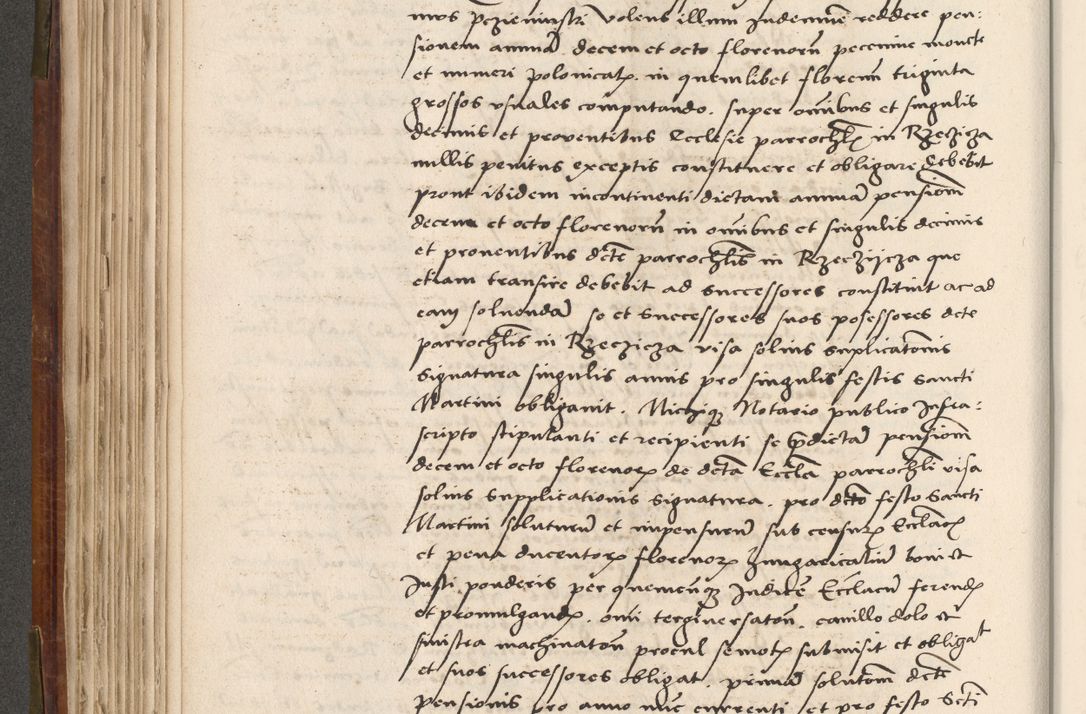 Zdjęcie nr 269 dla obiektu archiwalnego: Volumen (Pri)mum Actorum R(evere)nd(i)s(s)imi in Christo Patris D(omi)ni Petri de Gamratis Episcopi Cracoviensis a die prima mensis Novembris Anni 1539vi ad finem eiusdem anni et successive per annos 1539num et 1540mum