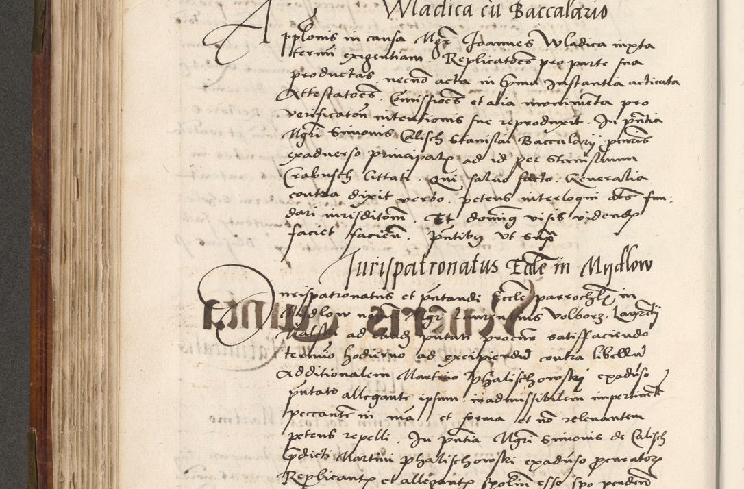 Zdjęcie nr 291 dla obiektu archiwalnego: Volumen (Pri)mum Actorum R(evere)nd(i)s(s)imi in Christo Patris D(omi)ni Petri de Gamratis Episcopi Cracoviensis a die prima mensis Novembris Anni 1539vi ad finem eiusdem anni et successive per annos 1539num et 1540mum