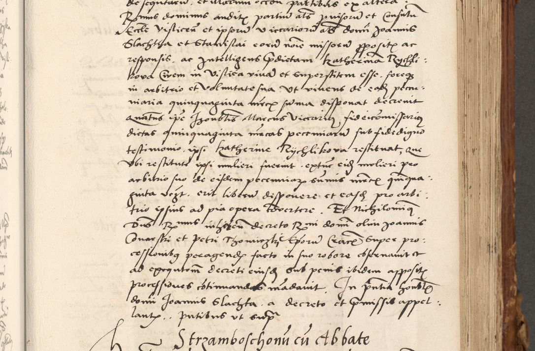 Zdjęcie nr 298 dla obiektu archiwalnego: Volumen (Pri)mum Actorum R(evere)nd(i)s(s)imi in Christo Patris D(omi)ni Petri de Gamratis Episcopi Cracoviensis a die prima mensis Novembris Anni 1539vi ad finem eiusdem anni et successive per annos 1539num et 1540mum