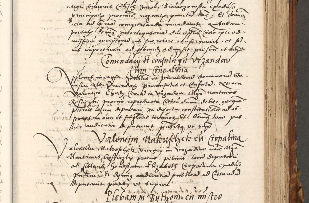 Zdjęcie nr 306 dla obiektu archiwalnego: Volumen (Pri)mum Actorum R(evere)nd(i)s(s)imi in Christo Patris D(omi)ni Petri de Gamratis Episcopi Cracoviensis a die prima mensis Novembris Anni 1539vi ad finem eiusdem anni et successive per annos 1539num et 1540mum
