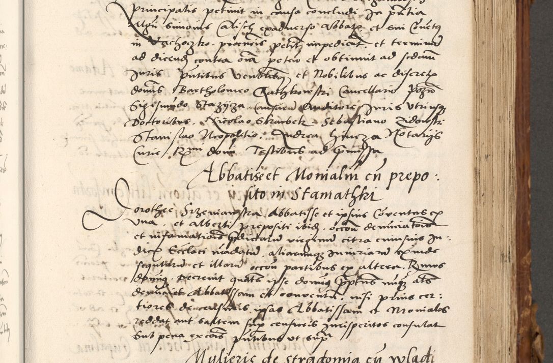 Zdjęcie nr 308 dla obiektu archiwalnego: Volumen (Pri)mum Actorum R(evere)nd(i)s(s)imi in Christo Patris D(omi)ni Petri de Gamratis Episcopi Cracoviensis a die prima mensis Novembris Anni 1539vi ad finem eiusdem anni et successive per annos 1539num et 1540mum