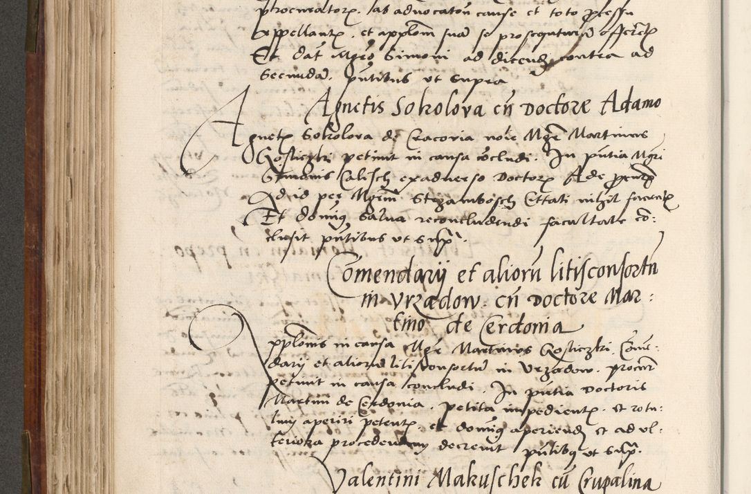 Zdjęcie nr 309 dla obiektu archiwalnego: Volumen (Pri)mum Actorum R(evere)nd(i)s(s)imi in Christo Patris D(omi)ni Petri de Gamratis Episcopi Cracoviensis a die prima mensis Novembris Anni 1539vi ad finem eiusdem anni et successive per annos 1539num et 1540mum