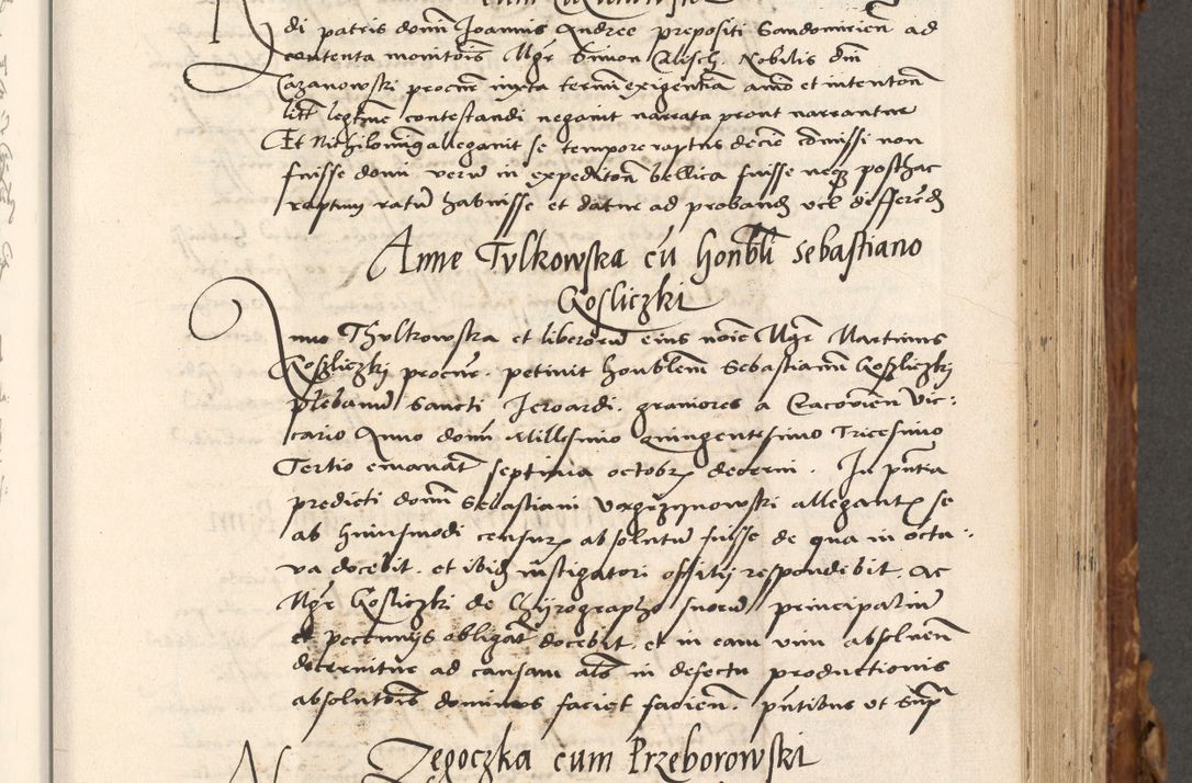 Zdjęcie nr 324 dla obiektu archiwalnego: Volumen (Pri)mum Actorum R(evere)nd(i)s(s)imi in Christo Patris D(omi)ni Petri de Gamratis Episcopi Cracoviensis a die prima mensis Novembris Anni 1539vi ad finem eiusdem anni et successive per annos 1539num et 1540mum
