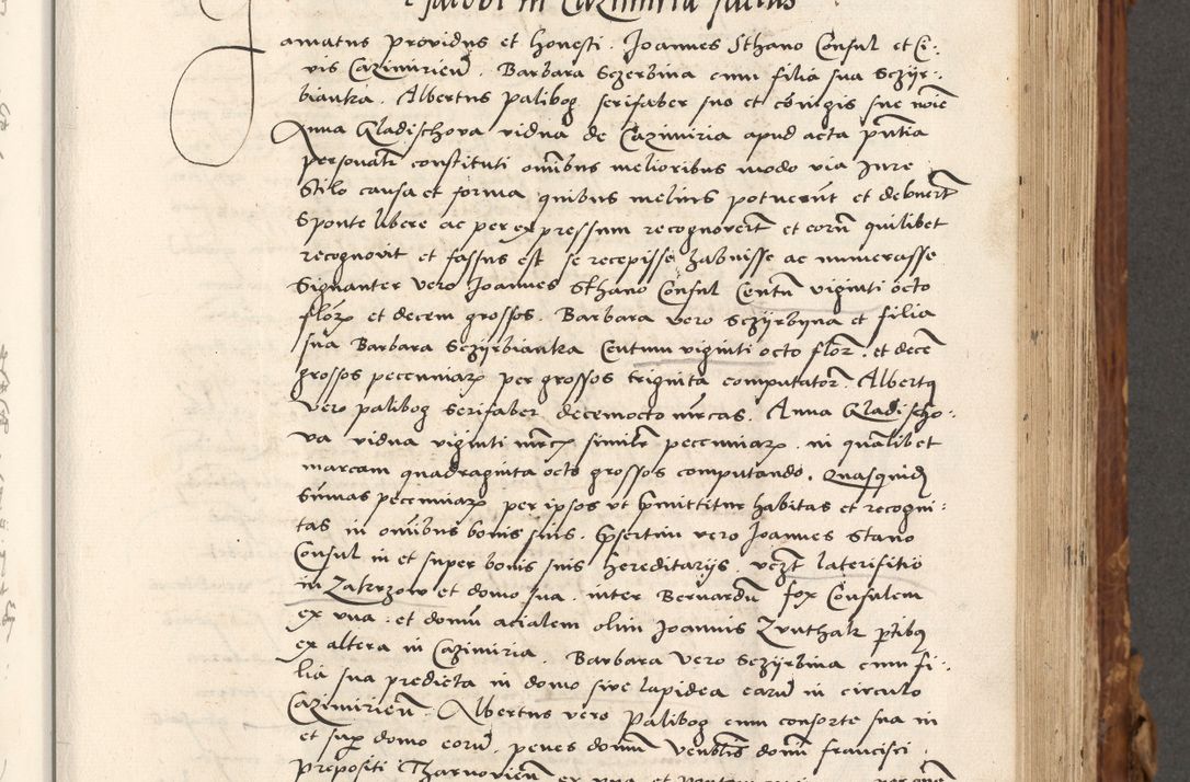Zdjęcie nr 350 dla obiektu archiwalnego: Volumen (Pri)mum Actorum R(evere)nd(i)s(s)imi in Christo Patris D(omi)ni Petri de Gamratis Episcopi Cracoviensis a die prima mensis Novembris Anni 1539vi ad finem eiusdem anni et successive per annos 1539num et 1540mum