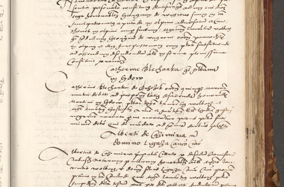Zdjęcie nr 454 dla obiektu archiwalnego: Volumen (Pri)mum Actorum R(evere)nd(i)s(s)imi in Christo Patris D(omi)ni Petri de Gamratis Episcopi Cracoviensis a die prima mensis Novembris Anni 1539vi ad finem eiusdem anni et successive per annos 1539num et 1540mum