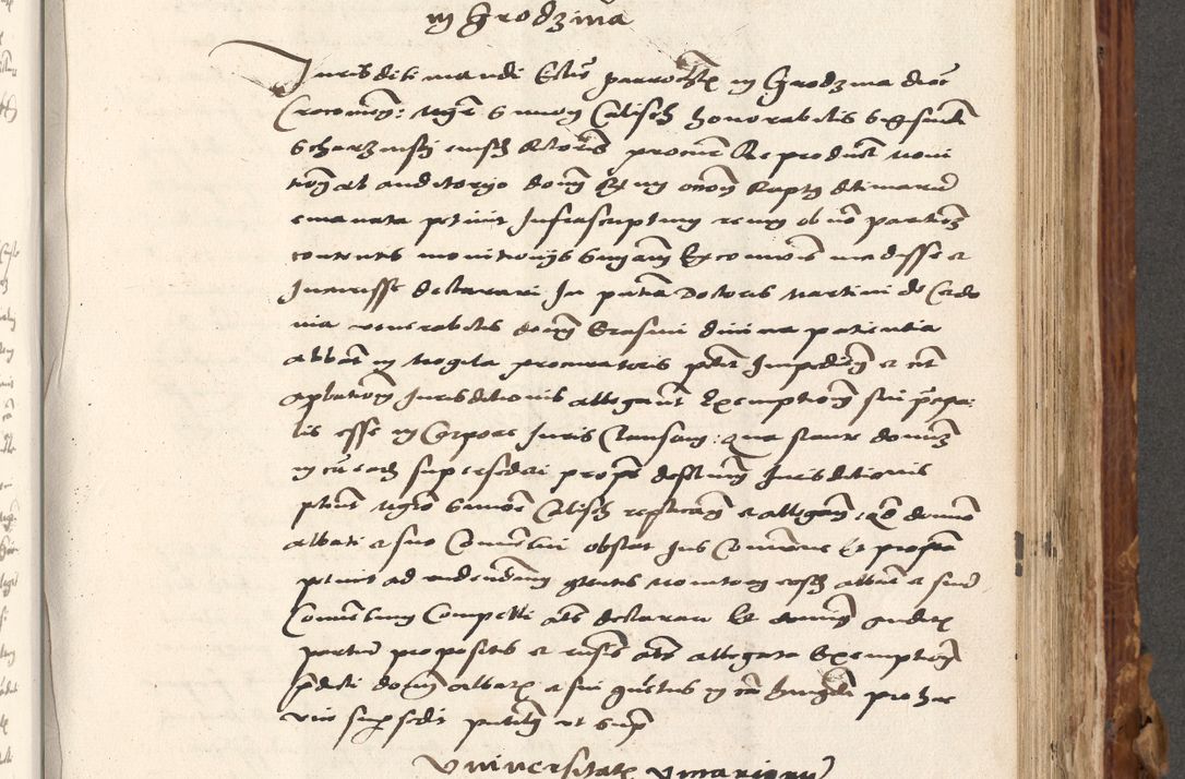 Zdjęcie nr 482 dla obiektu archiwalnego: Volumen (Pri)mum Actorum R(evere)nd(i)s(s)imi in Christo Patris D(omi)ni Petri de Gamratis Episcopi Cracoviensis a die prima mensis Novembris Anni 1539vi ad finem eiusdem anni et successive per annos 1539num et 1540mum