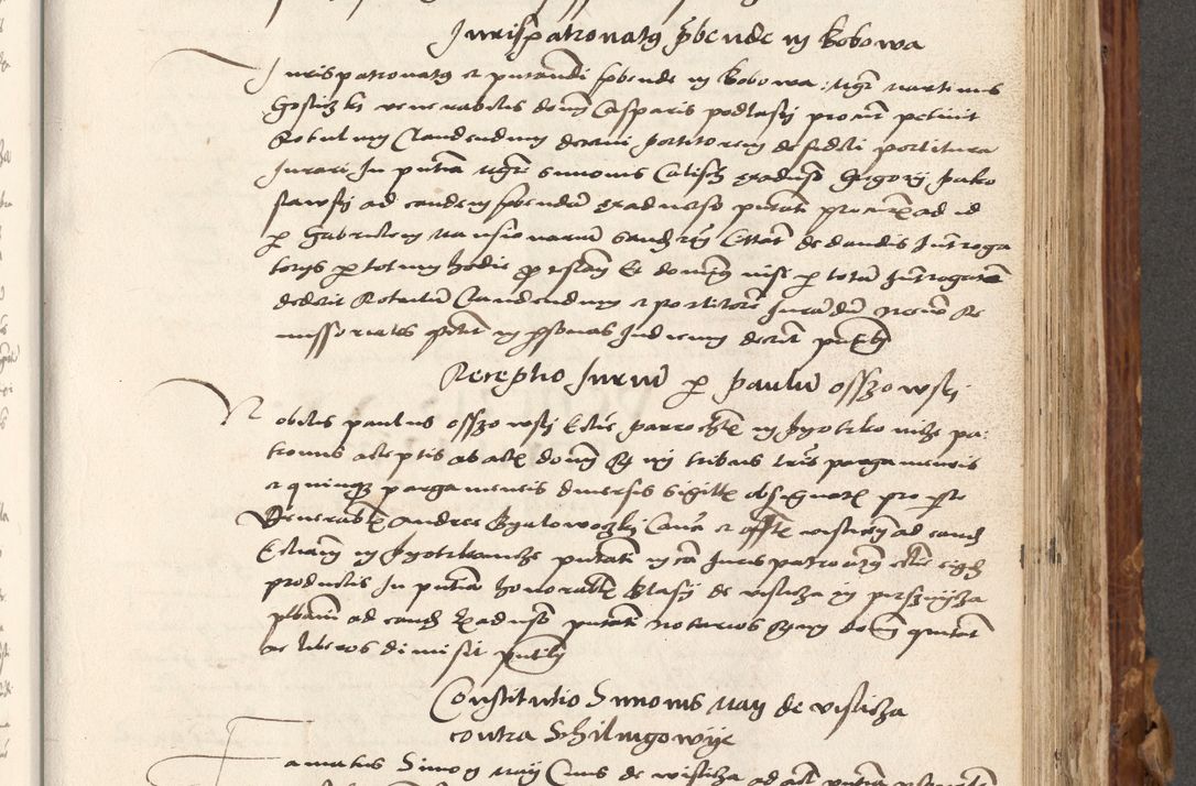 Zdjęcie nr 490 dla obiektu archiwalnego: Volumen (Pri)mum Actorum R(evere)nd(i)s(s)imi in Christo Patris D(omi)ni Petri de Gamratis Episcopi Cracoviensis a die prima mensis Novembris Anni 1539vi ad finem eiusdem anni et successive per annos 1539num et 1540mum