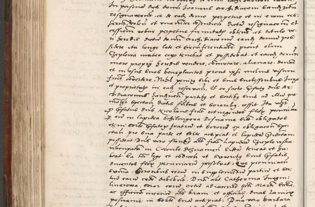 Zdjęcie nr 599 dla obiektu archiwalnego: Volumen (Pri)mum Actorum R(evere)nd(i)s(s)imi in Christo Patris D(omi)ni Petri de Gamratis Episcopi Cracoviensis a die prima mensis Novembris Anni 1539vi ad finem eiusdem anni et successive per annos 1539num et 1540mum