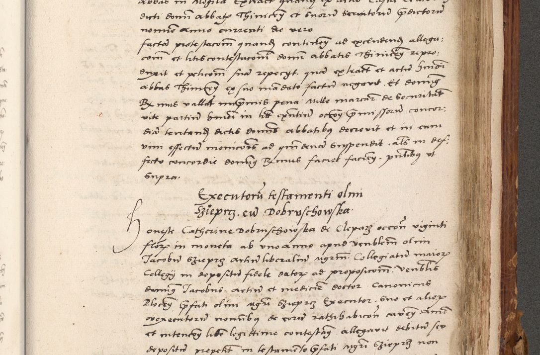 Zdjęcie nr 794 dla obiektu archiwalnego: Volumen (Pri)mum Actorum R(evere)nd(i)s(s)imi in Christo Patris D(omi)ni Petri de Gamratis Episcopi Cracoviensis a die prima mensis Novembris Anni 1539vi ad finem eiusdem anni et successive per annos 1539num et 1540mum
