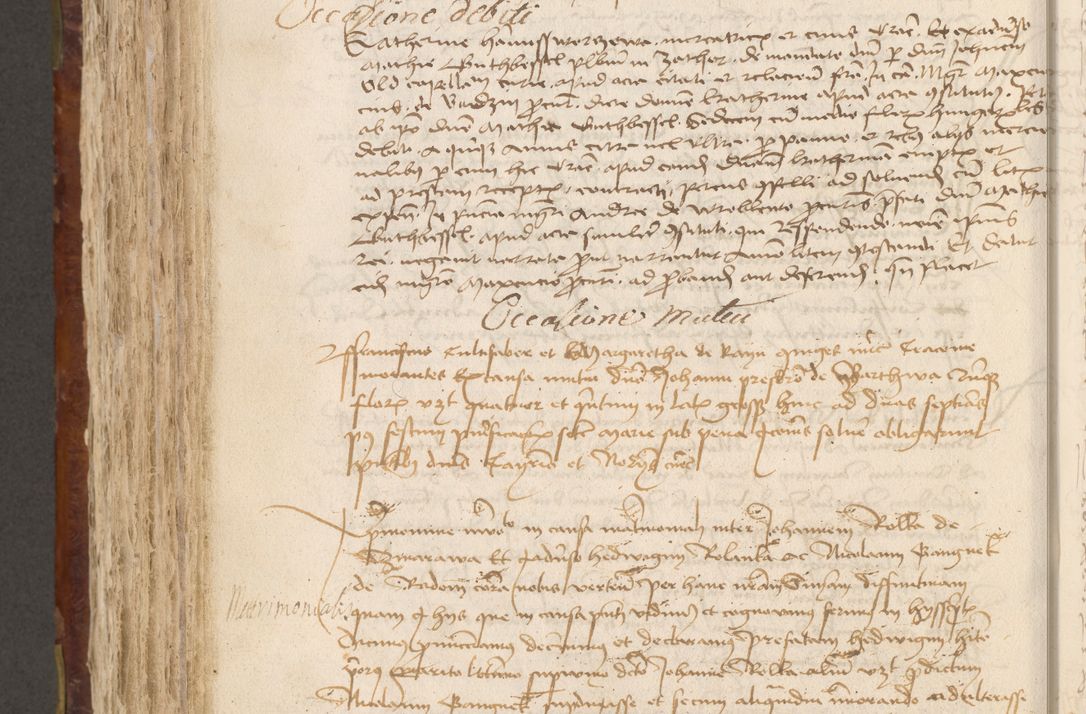 Zdjęcie nr 711 dla obiektu archiwalnego: Acta administratorialia per annum 1471 et episcopalia R. D. Joannis Rzeschow, primo administratoris et post vero episcopi Cracoviensis ab anno 1472 ad annum 1488 succesive acticara et registrara, prout videre est in fine huius voluminis