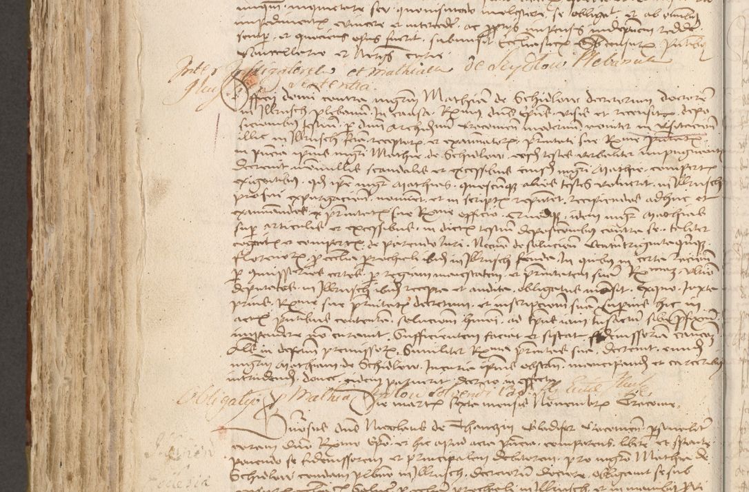 Zdjęcie nr 703 dla obiektu archiwalnego: Acta administratorialia per annum 1471 et episcopalia R. D. Joannis Rzeschow, primo administratoris et post vero episcopi Cracoviensis ab anno 1472 ad annum 1488 succesive acticara et registrara, prout videre est in fine huius voluminis