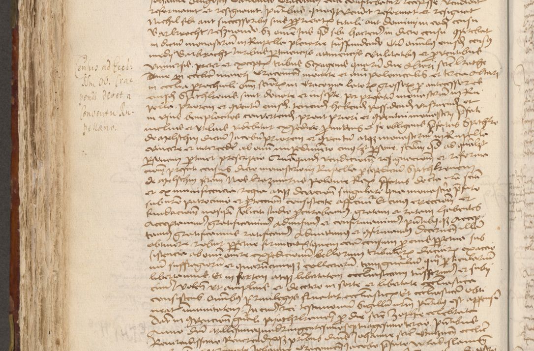 Zdjęcie nr 611 dla obiektu archiwalnego: Acta administratorialia per annum 1471 et episcopalia R. D. Joannis Rzeschow, primo administratoris et post vero episcopi Cracoviensis ab anno 1472 ad annum 1488 succesive acticara et registrara, prout videre est in fine huius voluminis