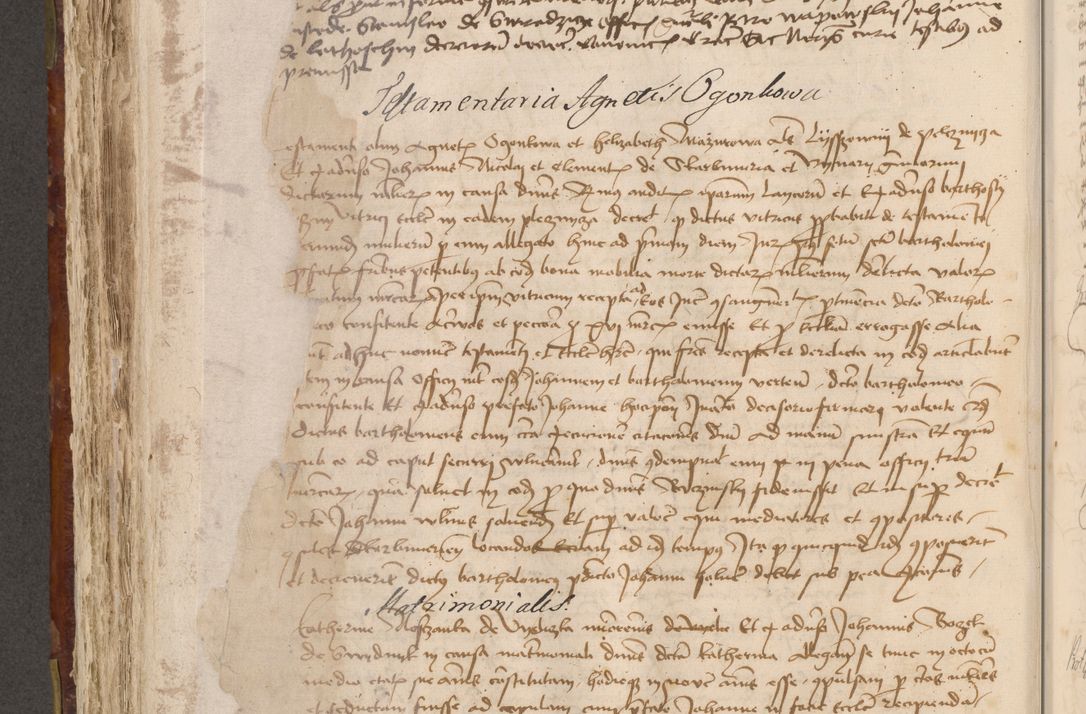 Zdjęcie nr 471 dla obiektu archiwalnego: Acta administratorialia per annum 1471 et episcopalia R. D. Joannis Rzeschow, primo administratoris et post vero episcopi Cracoviensis ab anno 1472 ad annum 1488 succesive acticara et registrara, prout videre est in fine huius voluminis