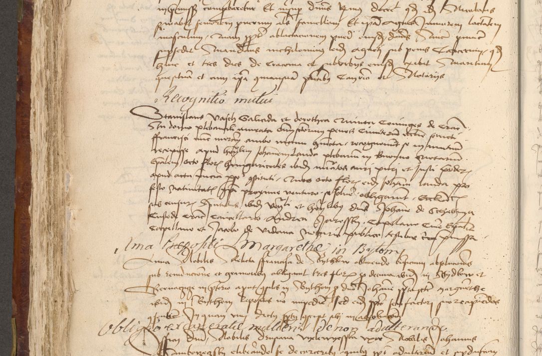 Zdjęcie nr 407 dla obiektu archiwalnego: Acta administratorialia per annum 1471 et episcopalia R. D. Joannis Rzeschow, primo administratoris et post vero episcopi Cracoviensis ab anno 1472 ad annum 1488 succesive acticara et registrara, prout videre est in fine huius voluminis