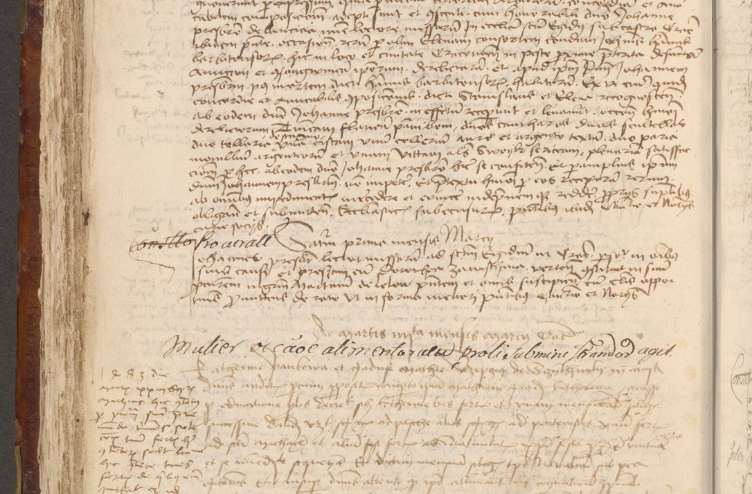 Zdjęcie nr 369 dla obiektu archiwalnego: Acta administratorialia per annum 1471 et episcopalia R. D. Joannis Rzeschow, primo administratoris et post vero episcopi Cracoviensis ab anno 1472 ad annum 1488 succesive acticara et registrara, prout videre est in fine huius voluminis